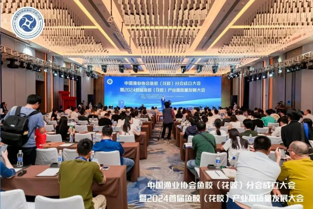 杜冰教授受聘中渔协专家委员会成员，共绘花胶产业新篇章！