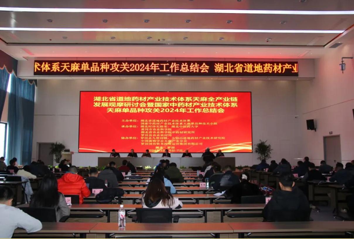 天麻盛会：凤凰制药集团杜冰教授参与研讨，共谋产业新发展